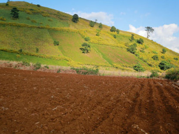 Các trường hợp sử dụng đất được Nhà nước giao đất không thu tiền sử dụng đất?