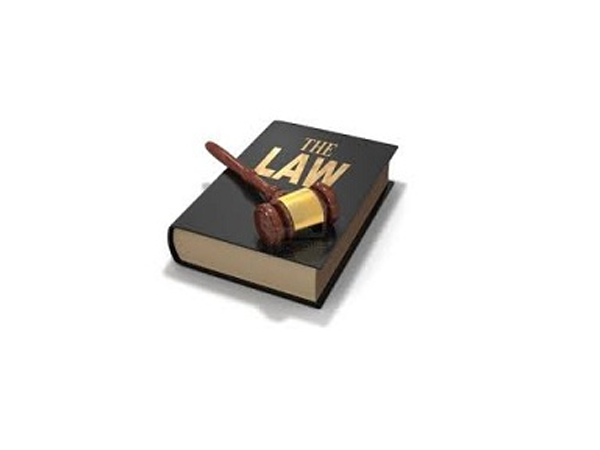 Quyền và nghĩa vụ của người tố cáo hành vi vi phạm pháp luật trong thi hành án dân sự