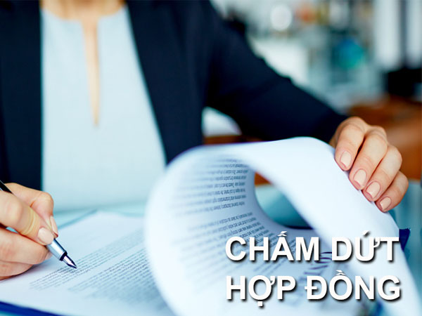 Chấm dứt nghĩa vụ dân sự khi vật đặc định không còn