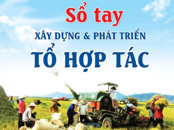 Tổ hợp tác